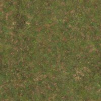 Asset preview